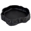 Repti Planet Miska na kŕmenie čierna 19,5 x 17,2x 4,2 cm