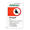Folio Artenax 60 tbl