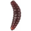 Saenger Iron Trout Bee Maggots 2,5cm BR