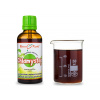 Chlamystop - bylinné kapky (tinktura) - doplněk stravy 50 ml