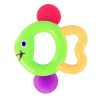 Rappa ryba RP218369
