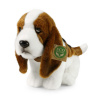 Basset 32 cm