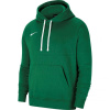Nike Park 20 Hoodie W CW6957-302