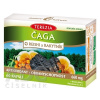 Terezia Company Čaga, Reishi a Rakytník 60 kapsúl