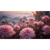 Obraz – Ružové Kvety Príroda– AiArt 16:9