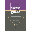 Skepse a gnóse - Vorovka Karel