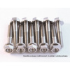 SCAR BOLT KIT M6 X 60