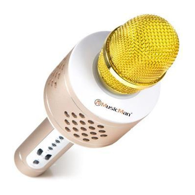 Technaxx PRO bluetooth karaoke mikrofon, 2x3W repro, LED RGB a funkcí TWS, zlatá/stříbrná (BT-X35)