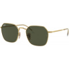 Sluneční brýle Ray-Ban Jim RB3694 001/31 se slevou 36 %
