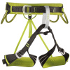 Camp Alpine Flash