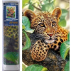 Norimpex Diamantový obraz Leopard 30 x 40 cm 1-39 dielov