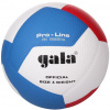 Volejbalová lopta Gala Pro Line 12 BV 5585 S (BV5585S)
