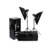 Fomei Terronic Basic 300RF kit