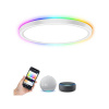 Smart LED svítidlo IMMAX NEO 07164-40 Tudo RGB 50W WiFi Tuya