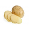 Sadbové zemiaky GALA 5KG