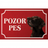Nemecký krátkosrstý stavač - Kovová tabuľka POZOR PES