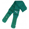 Puma | teamFINAL Socks | zelená| 39-42