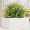 zahrada-XL Záhradný kvetináč biely 50x50x23 cm borovicový masív 847184