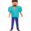 bHome Minecraft Steve