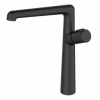 Laveo Pretto Black Bao 725D Washbasin faucet (Laveo Pretto Black Bao 725D Washbasin faucet)
