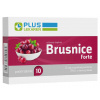 Plus lekareň Brusnice Forte 10 tabliet
