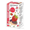 FYTO DETSKÝ OVOCNÝ ČAJ JAHODA (od ukončeného 6. mesiaca) 20x1,5 g (30 g) FYTOPHARMA, a.s.