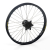 HAANW FRONT 19-1,40, 3/3/1/1