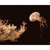 Maľovanie podľa čísel Žena naťahujúca sa po medúze, 40x50 cm, vypnuté plátno na rám (6038511)