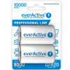everActive D 10000 mAh 2 ks EVHRL20-10000
