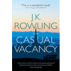 Casual Vacancy