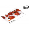 Fotopapier FOMEI PRO Gloss 300 (EY5849)