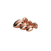 Sada Dream Toys GLEAMING LOVE ROSE GOLD PLUG SET