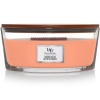 WoodWick - Manuka Nectar sviečka loď, 453.6 g