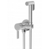 SAPHO AF040