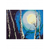 Diamantové maľovanie - BREZY MESIAC A PADAJÚCI SNEH Rámovanie: vypnuté plátno na rám, Rozmer: 40x50 cm