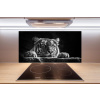 Sklenený panel do kuchyne Tiger 100x50 cm