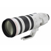 Canon EF 200-400mm f/4L IS USM Extender 1.4x