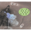 Stéphan Oliva, HUBBLE DREAMS, CD