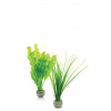 biOrb Plant Pack zelená set 20 cm