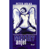 Modrý anjel - Peter Holka