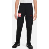 Nike Kalhoty Poland Strike Jr DM9600 010