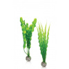 biOrb Plant Pack set M zelené 29 cm