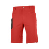 Salomon Wayfarer shorts goji berry LC1489800 50
