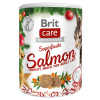 Brit Care Snack Superfruits Christmas dóza 100g