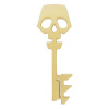 FaNaTtik Borderlands Replika Gold key
