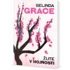 Žijte v hojnosti - Proč stačí být takoví, jací jste - Belinda Grace