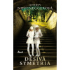 Desivá symetria - Audrey Niffeneggerová