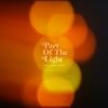 Lamontagne Ray - Part Of The Light [CD]