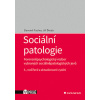 Sociální patologie - Slavomil Fischer, Jiří Škoda