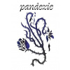 Pandezie - Anna Luňáková
